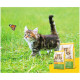 Корм Josera Kitten grainfree 2 кг для кошенят - 4032254755005